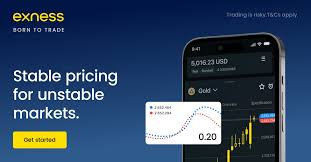 Exploring the Benefits of Exness W-Bonus in Forex Trading Exploring the Benefits of Exness W-Bonus in Forex Trading